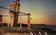 Melbourne Attractions Pass Including Melbourne Zoo, Hop-on Hop-off Bus And SEA LIFE Aquarium - thumb 10