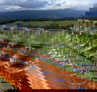 Yarra Valley Local Produce and Wine Tasting Tour - Accommodation Bookings