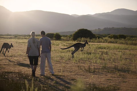 Overnight Daylesford And Macedon Ranges Gourmet Food Trail Tour From Melbourne - Accommodation Bookings 4