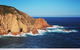 Half Day Phillip Island Woolamai Walking Tour - thumb 1