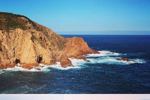 Half Day Phillip Island Woolamai Walking Tour - Accommodation Bookings 1