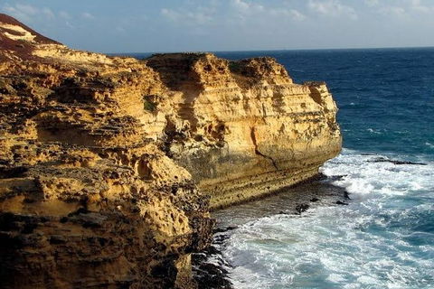 Half Day Phillip Island Woolamai Walking Tour - Accommodation Bookings 12