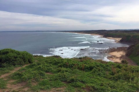 Half Day Phillip Island Woolamai Walking Tour - Accommodation Bookings 13