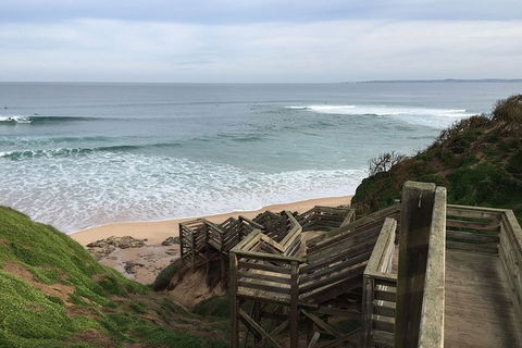 Half Day Phillip Island Woolamai Walking Tour - Accommodation Bookings 5