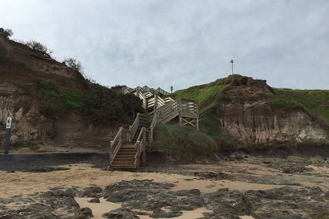 Half Day Phillip Island Woolamai Walking Tour - Accommodation Bookings 14
