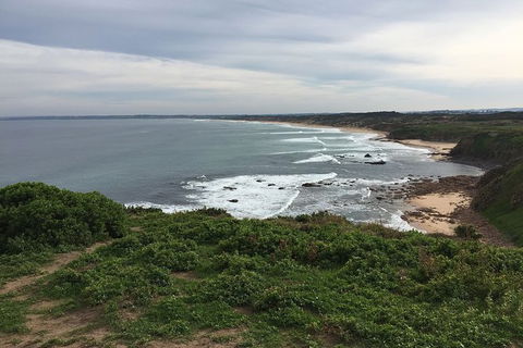Half Day Phillip Island Woolamai Walking Tour - Accommodation Bookings 10