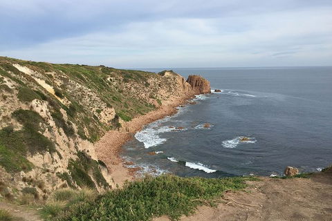 Half Day Phillip Island Woolamai Walking Tour - Accommodation Bookings 2