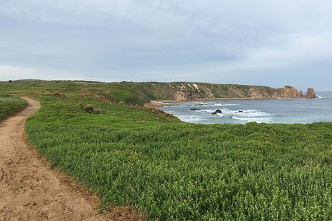 Half Day Phillip Island Woolamai Walking Tour - Accommodation Bookings 9