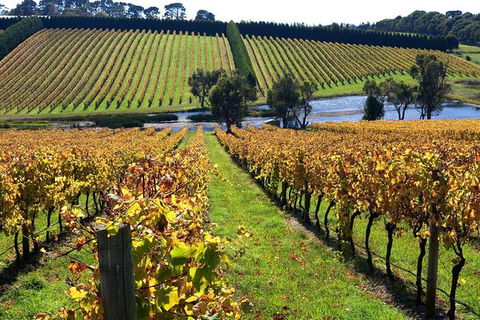 Small Group 6 Guests: Ultimate Mornington Peninsula Food And Wine - Accommodation Bookings 3