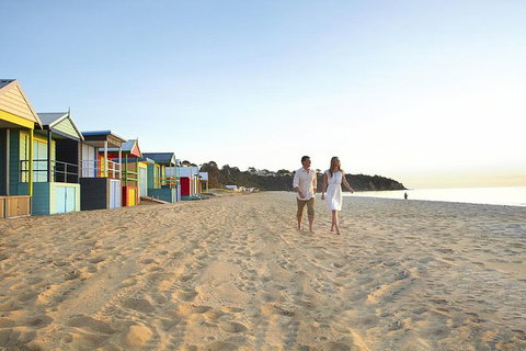 Around The Bay Food And Wine Taste Trail - Accommodation Bookings 7