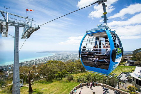 Around The Bay Food And Wine Taste Trail - Accommodation Bookings 8