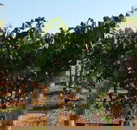 Wine Tasting Tour in The Yarra Valley - Accommodation Bookings