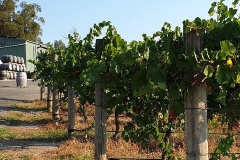 Wine Tasting Tour In The Yarra Valley - Accommodation Bookings 2