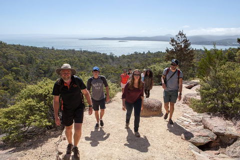 3-Day Tasmania Combo: Launceston To Hobart Active Tour Including Cradle Mountain, Freycinet National Park And Port Arthur - Accommodation Bookings 14