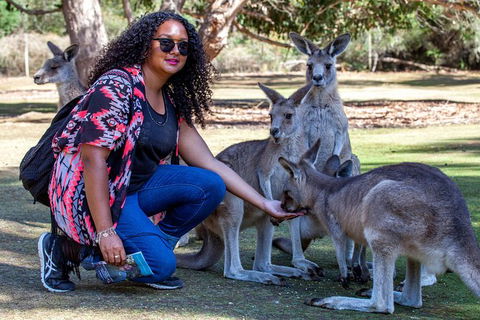 3-Day Tasmania Combo: Launceston To Hobart Active Tour Including Cradle Mountain, Freycinet National Park And Port Arthur - Accommodation Bookings 12