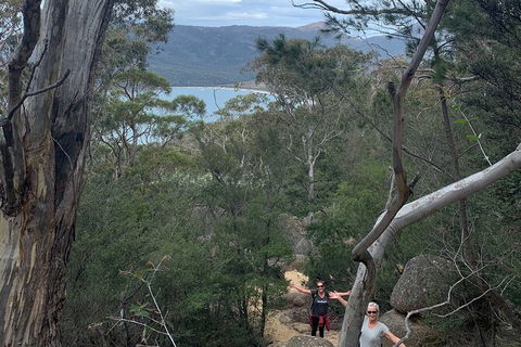 Wineglass Bay And Freycinet National Park Active Day Trip From Hobart - Accommodation Bookings 14