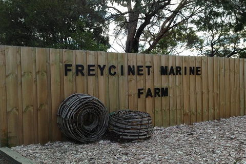 Wineglass Bay And Freycinet National Park Active Day Trip From Hobart - Accommodation Bookings 20