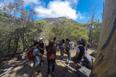 Wineglass Bay And Freycinet National Park Active Day Trip From Hobart - Accommodation Bookings 9
