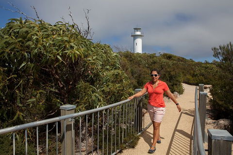 Wineglass Bay And Freycinet National Park Active Day Trip From Hobart - Accommodation Bookings 29