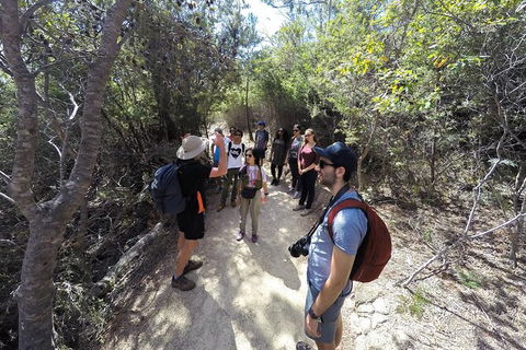 Wineglass Bay And Freycinet National Park Active Day Trip From Hobart - Accommodation Bookings 19