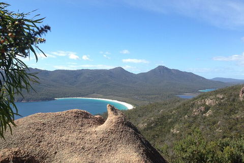 Wineglass Bay And Freycinet National Park Active Day Trip From Hobart - Accommodation Bookings 33