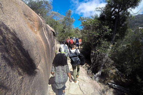 Wineglass Bay And Freycinet National Park Active Day Trip From Hobart - Accommodation Bookings 21