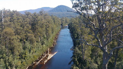 Small-group DayTour From Hobart: Hastings Caves, Huon Valley And Tahune AirWalk - Accommodation Bookings 3