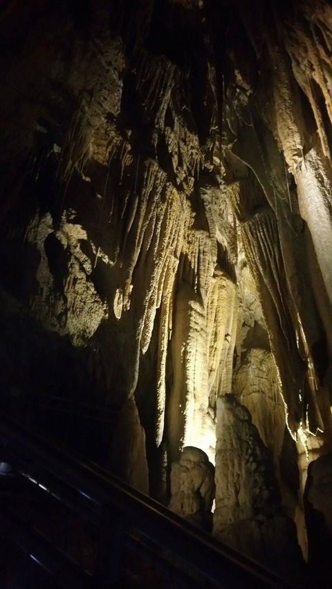 Small-group DayTour From Hobart: Hastings Caves, Huon Valley And Tahune AirWalk - Accommodation Bookings 5