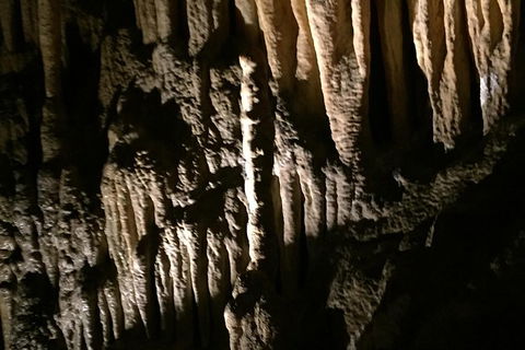 Small-group DayTour From Hobart: Hastings Caves, Huon Valley And Tahune AirWalk - Accommodation Bookings 1