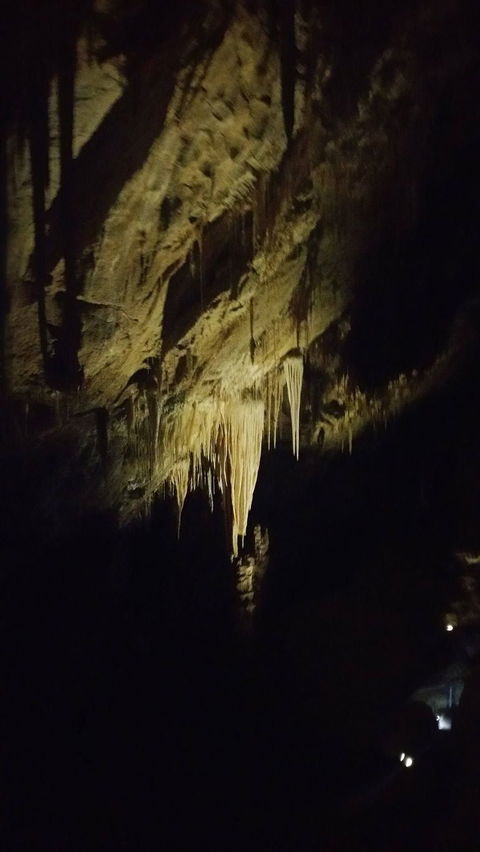 Small-group DayTour From Hobart: Hastings Caves, Huon Valley And Tahune AirWalk - Accommodation Bookings 7