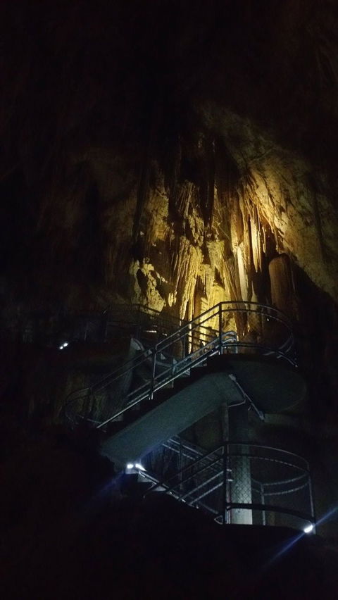 Small-group DayTour From Hobart: Hastings Caves, Huon Valley And Tahune AirWalk - Accommodation Bookings 4