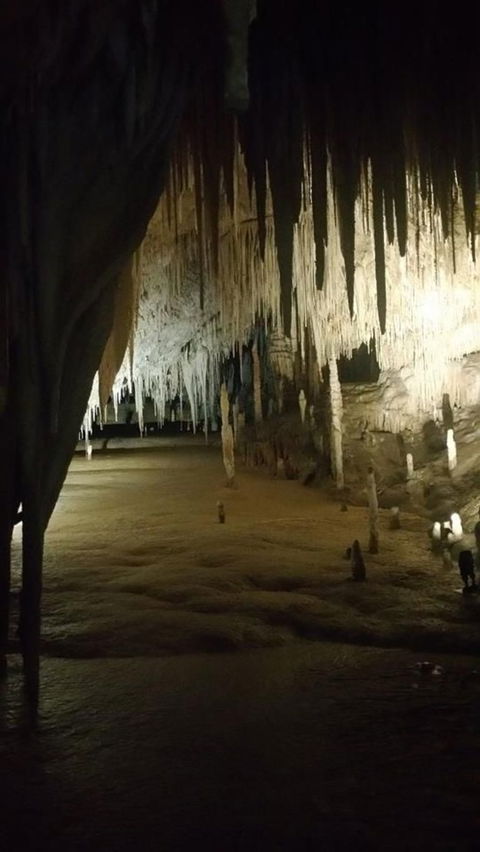 Small-group DayTour From Hobart: Hastings Caves, Huon Valley And Tahune AirWalk - Accommodation Bookings 8