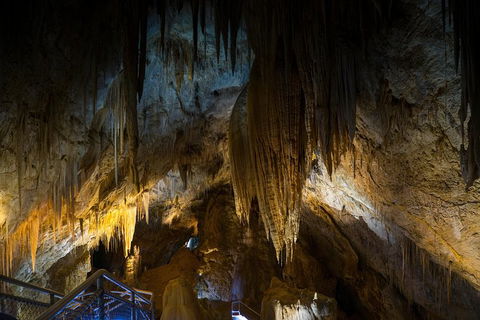 Small-group DayTour From Hobart: Hastings Caves, Huon Valley And Tahune AirWalk - Accommodation Bookings 19