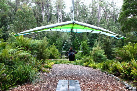Small-group DayTour From Hobart: Hastings Caves, Huon Valley And Tahune AirWalk - Accommodation Bookings 10