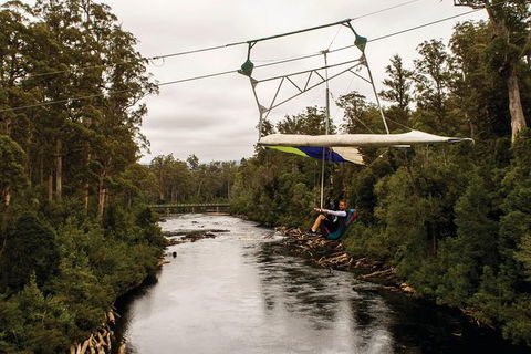 Small-group DayTour From Hobart: Hastings Caves, Huon Valley And Tahune AirWalk - Accommodation Bookings 14