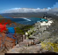 Full-Day Tour One-Way from Launceston to Hobart with Freycinet National Park - Accommodation Bookings