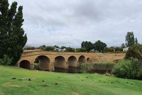 Port Arthur, Richmond And Tasman Peninsula Day Trip From Hobart - Accommodation Bookings 7