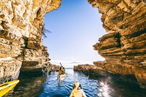 Hobart Kayak Tour - Accommodation Bookings 0