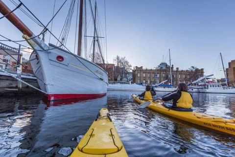 Hobart Kayak Tour - Accommodation Bookings 1