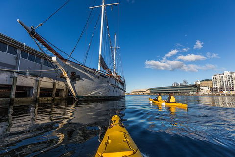Hobart Kayak Tour - Accommodation Bookings 8