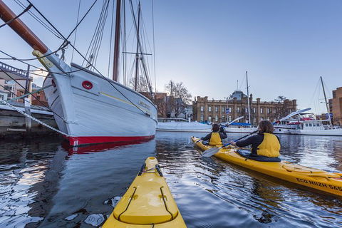 Hobart Kayak Tour - Accommodation Bookings 5