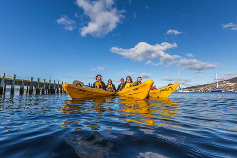Hobart Kayak Tour - Accommodation Bookings 7