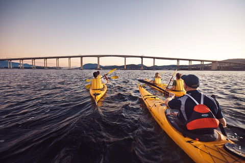 Hobart Kayak Tour - Accommodation Bookings 2
