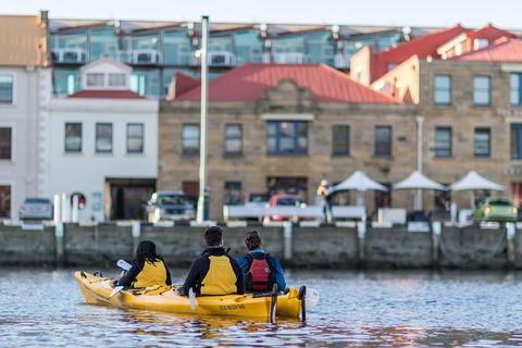Hobart Kayak Tour - Accommodation Bookings 6