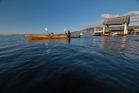 Hobart Kayak Tour - Accommodation Bookings 4