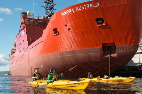 Hobart Kayak Tour - Accommodation Bookings 3