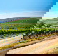 Full Day Tamar Valley Wine Tour - Accommodation Bookings