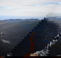 Mount Field National Park - Tarn Shelf  Russell Falls - Guided Hiking Tour - Accommodation Bookings