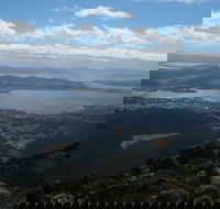 Mount Wellington Tour from Hobart - Accommodation Bookings