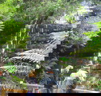 Mt Field National Park and Russell Falls from Hobart - Accommodation Bookings